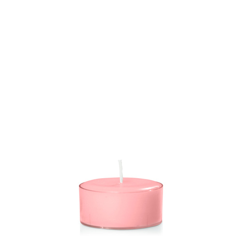 Coral Pink Tealight, Pack of 24